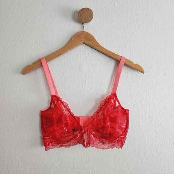 NEW Thistle and Spire Kane V-Wire Pink Red Sheer Lace Underwire Bra - Picture 1 of 10